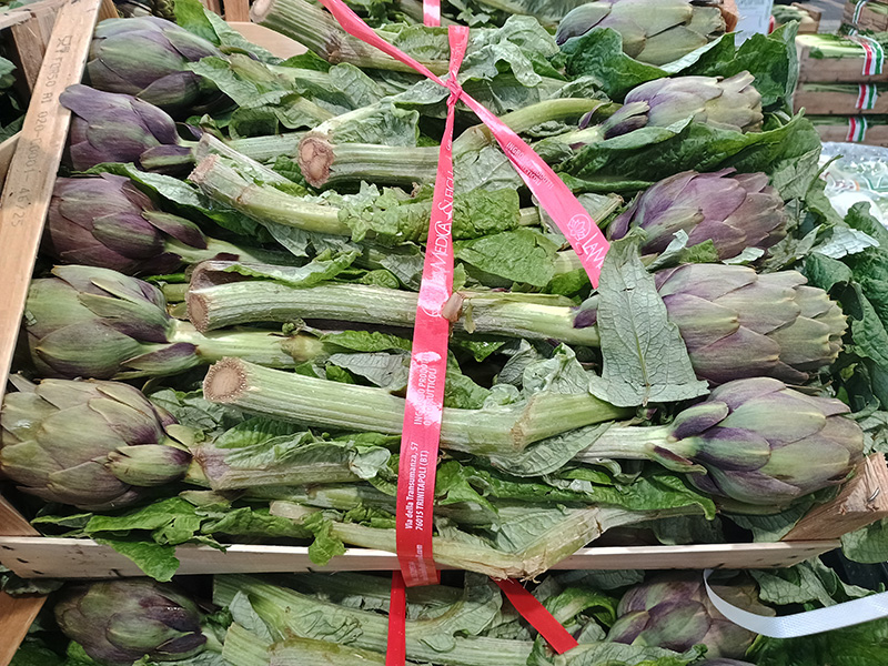 Carciofo violetto - 0,70/1,00 euro a capolino